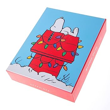 美品　60s SNOOPY Christmasバナー Merry Christmas Snoopy & Woodstock Hanging Holiday Lights
